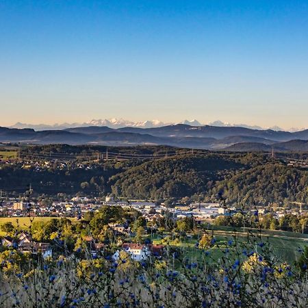 Ferienwohnung Im Alpenblick Steinen  Kültér fotó